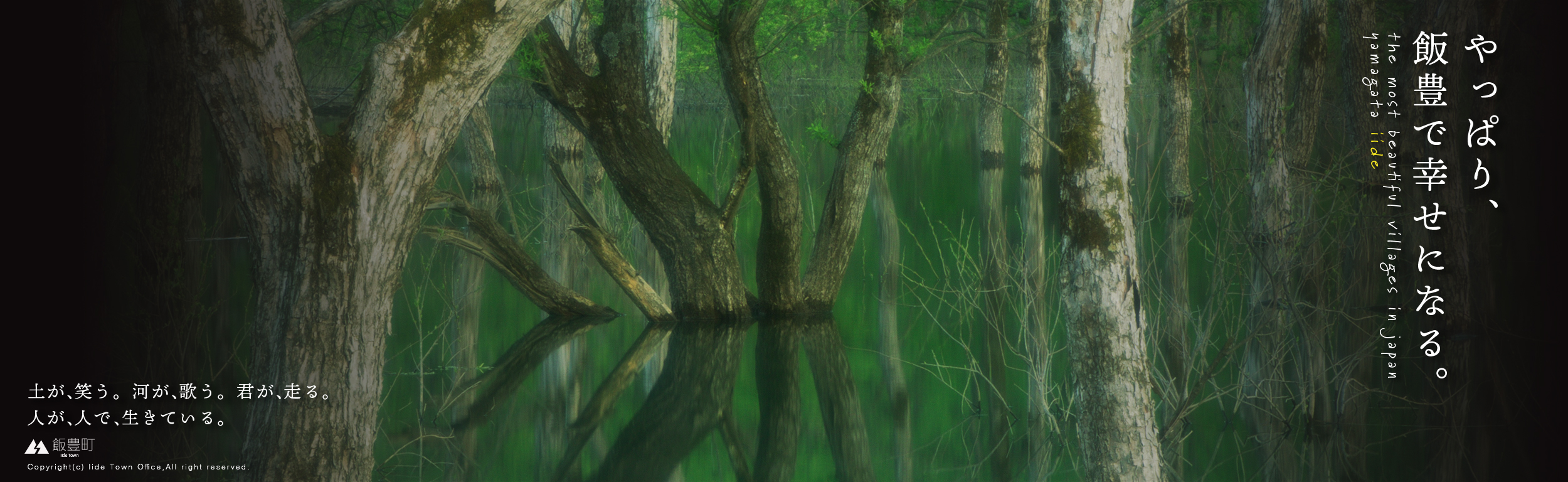 スポーツ ベット カジノ
白川湖の水没林スライドバナー画像